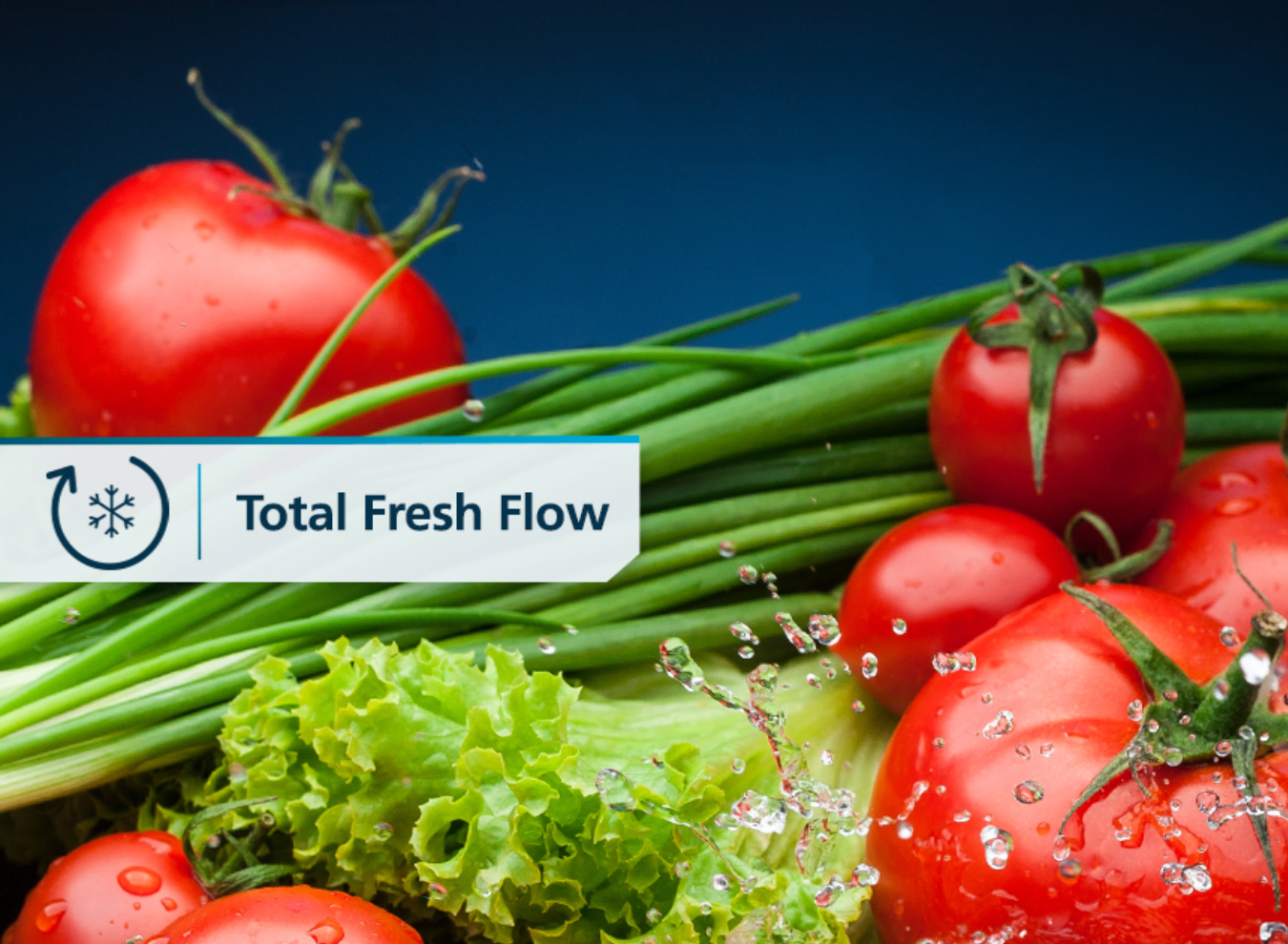 3_RMA210PYMRP0_1350 x 990_SITIO WEB