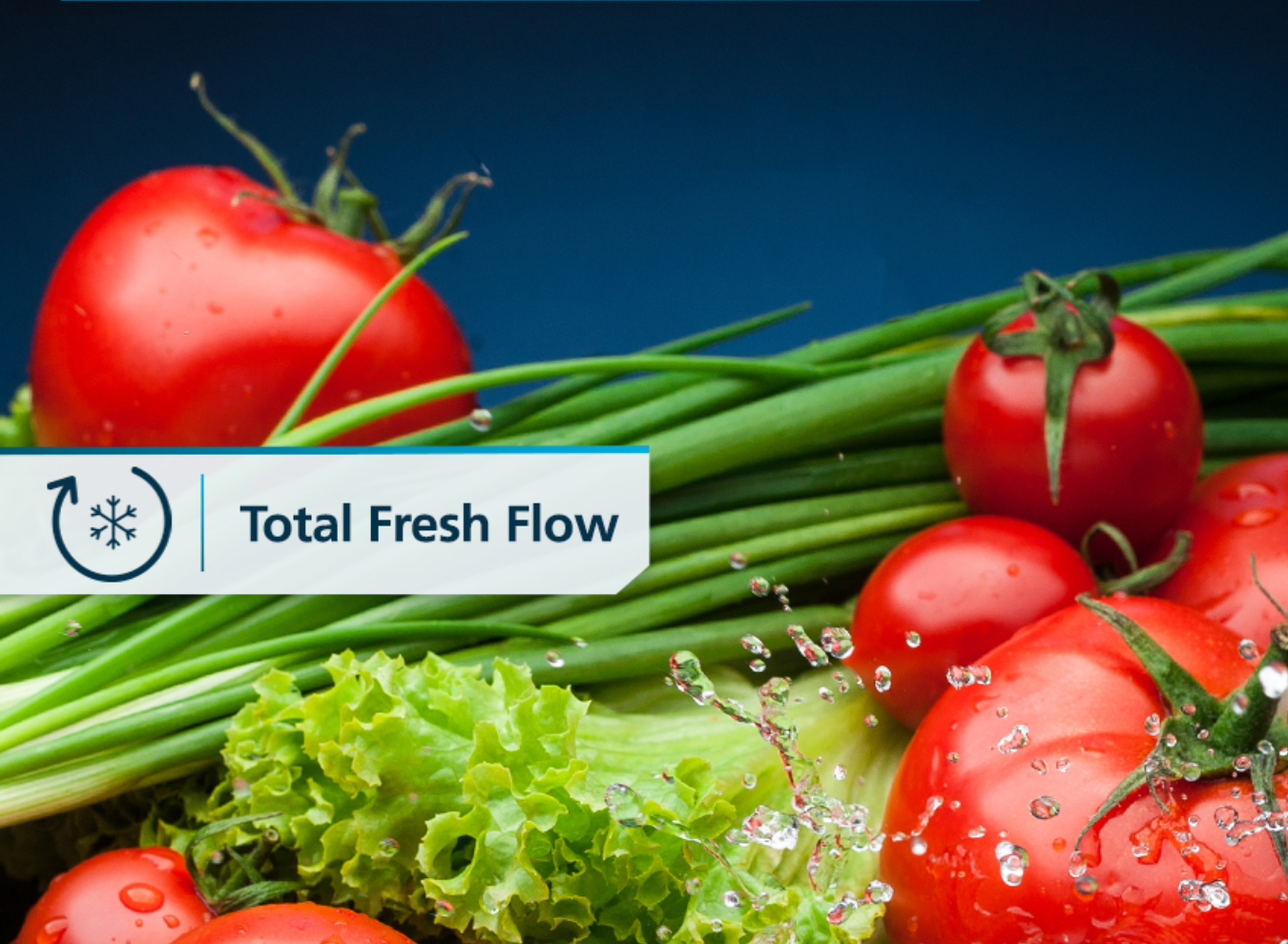 3_RME360PVMRM0_1350 x 990_SITIO WEB