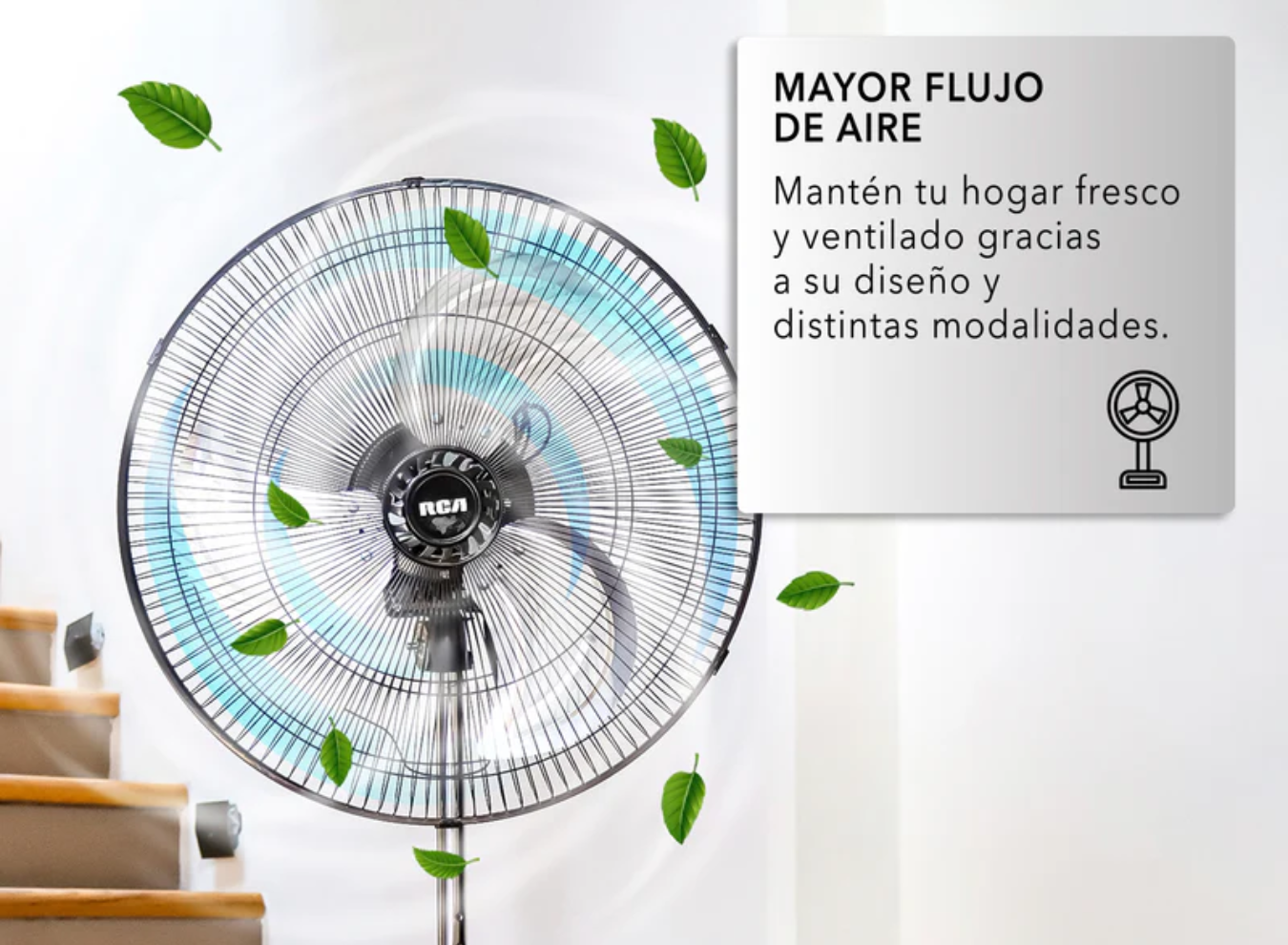 RC-18B3_1350 x 990_3