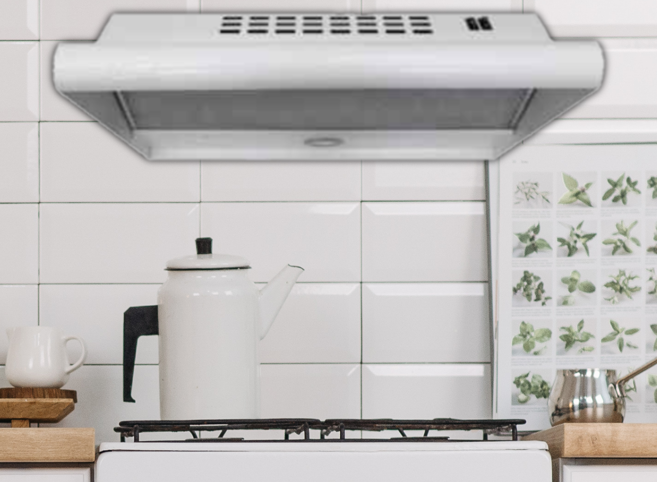 1_COS-050P-BL_1350 x 990_SITIO WEB