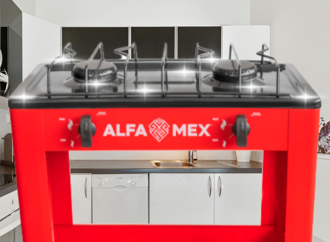 2_403_1350 x 990_SITIO WEB