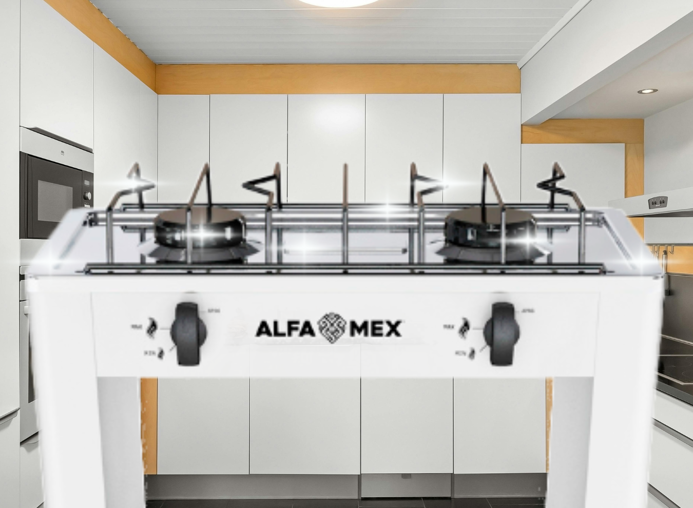 2_404_1350 x 990_SITIO WEB