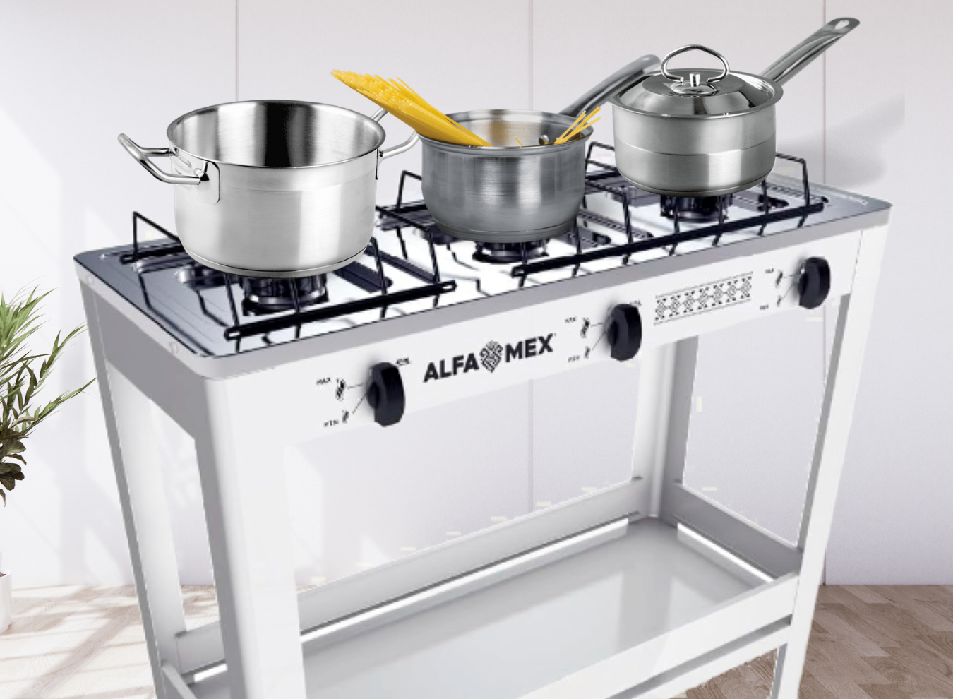 2_912_1350 x 990_SITIO WEB