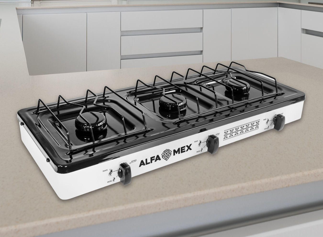 3_611_1350 x 990_SITIO WEB