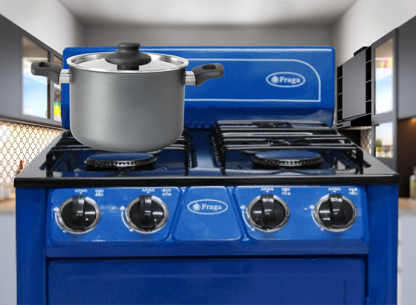 3_P225_1350 x 990_SITIO WEB