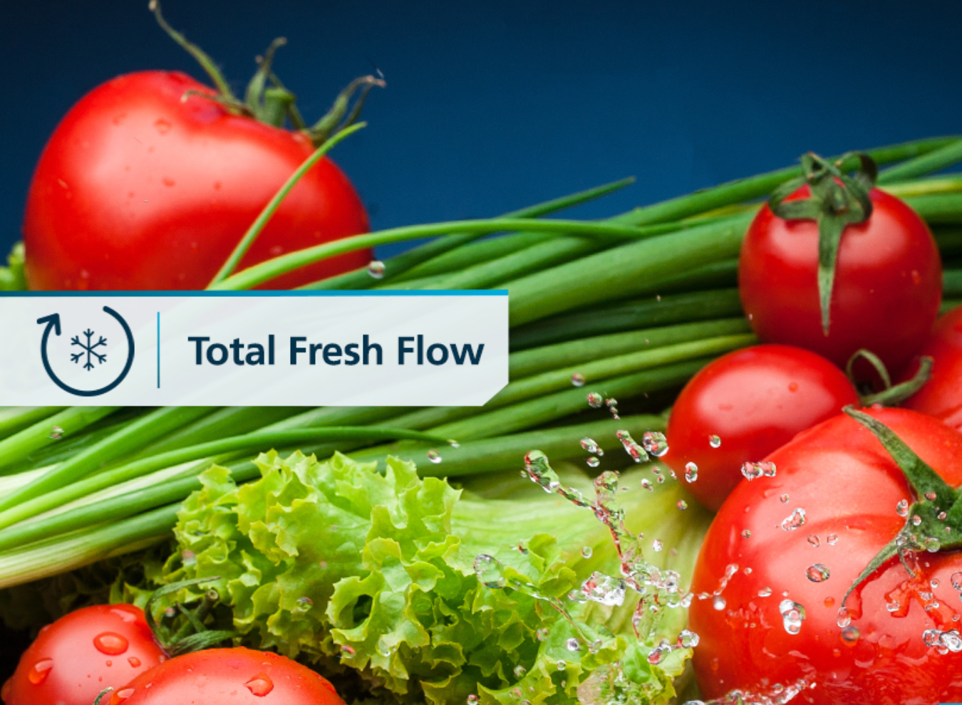 3_RMA250PVMRM0_1350 x 990_SITIO WEB