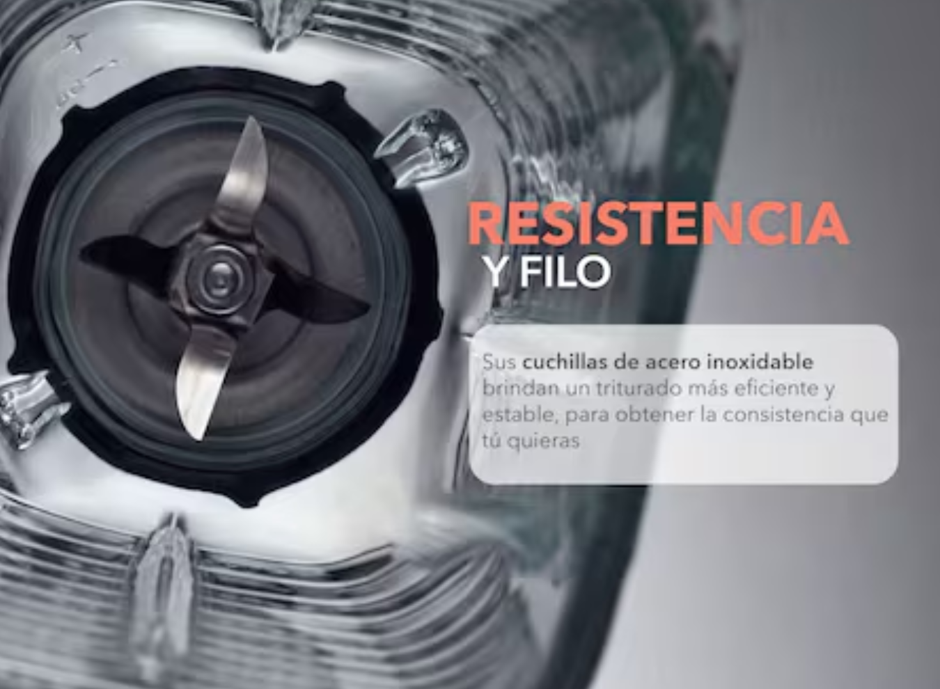 3_RC-L2_1350 x 990_SITIO WEB_2