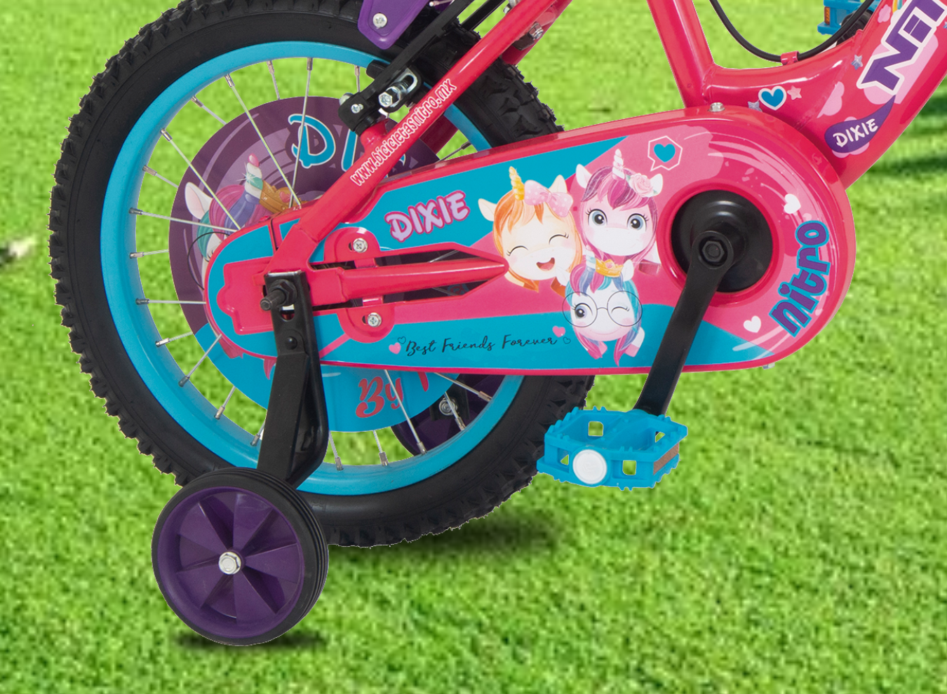 1_DIXIE16P_1350 x 990_SITIO WEB_3