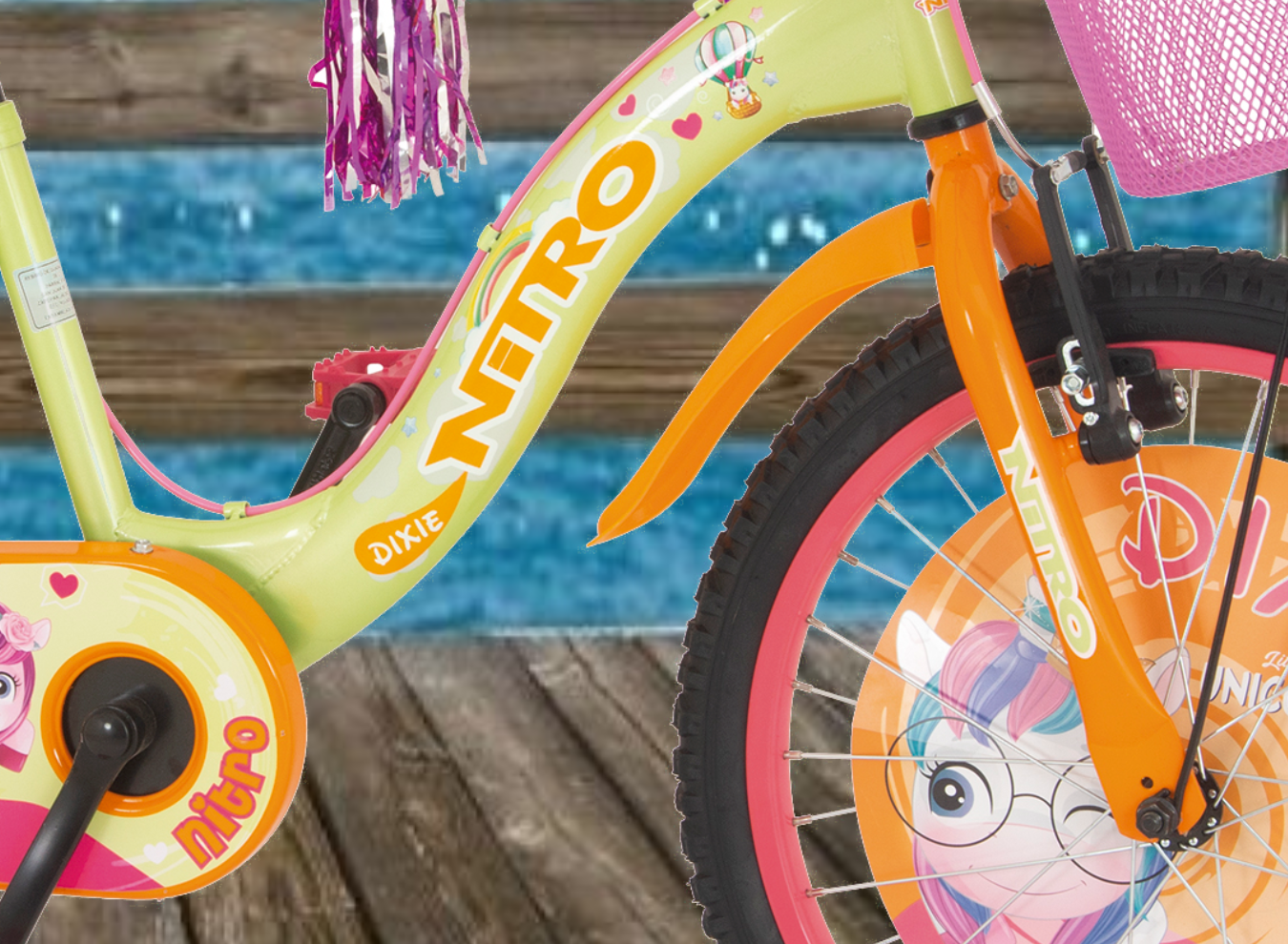 1_DIXIE20P_1350 x 990_SITIO WEB_3