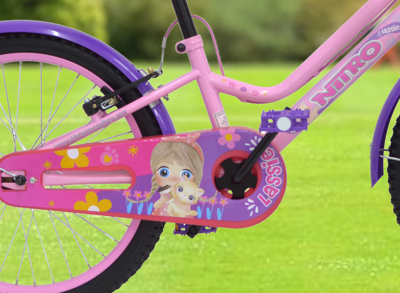 1_LASSIE20P_1350 x 990_SITIO WEB_3