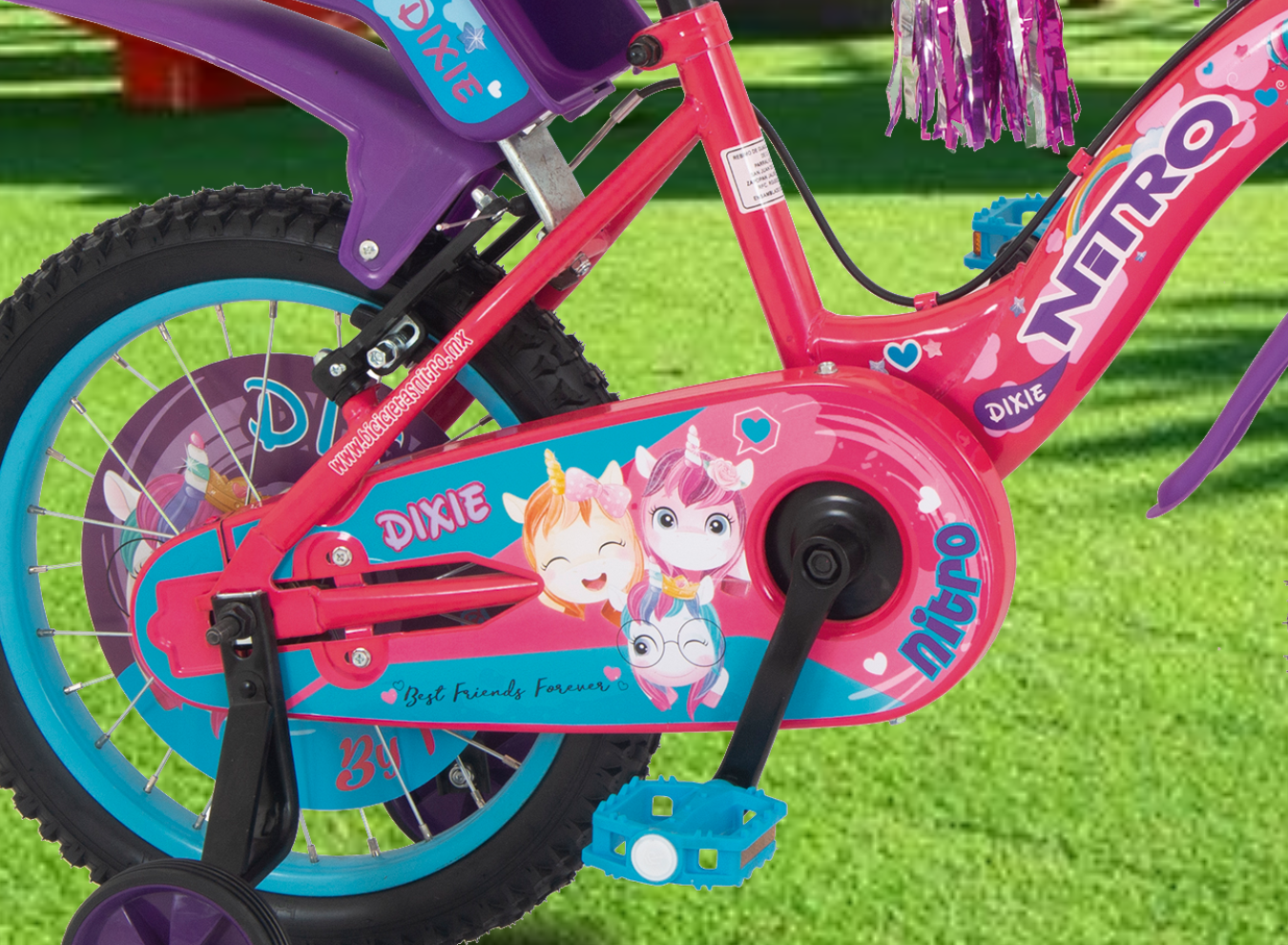 2_DIXIE16P_1350 x 990_SITIO WEB_3