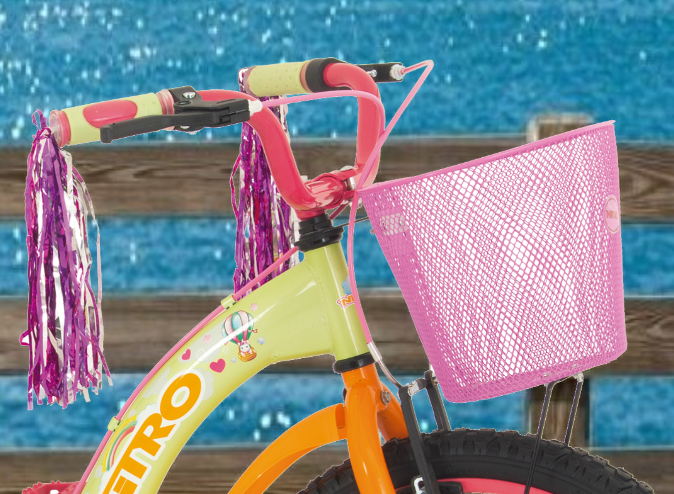 2_DIXIE20P_1350 x 990_SITIO WEB_3