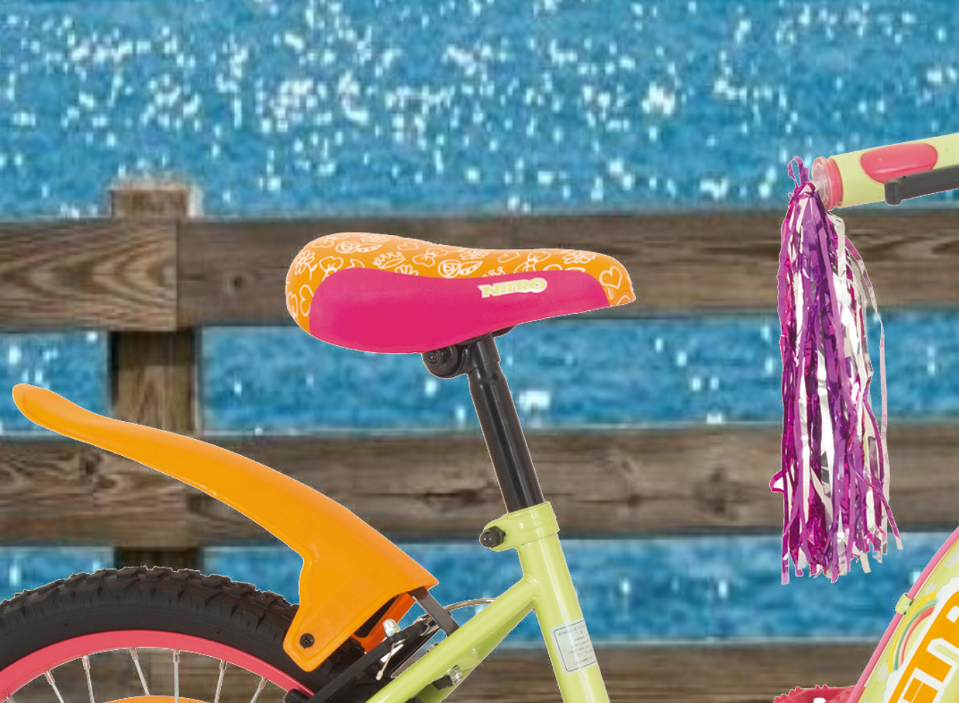 3_DIXIE20P_1350 x 990_SITIO WEB_3