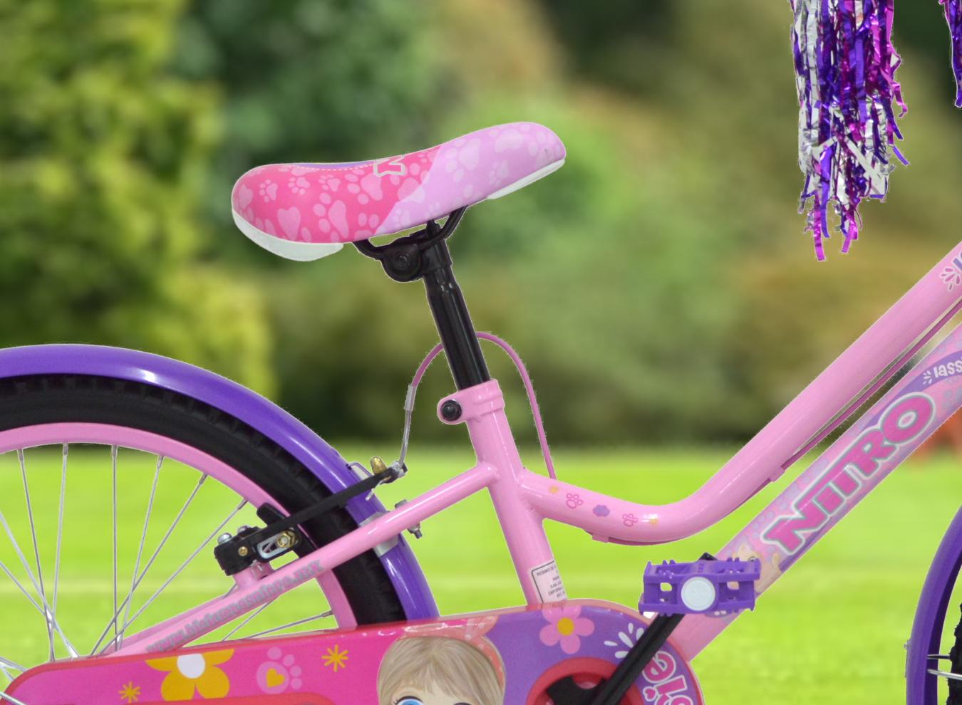 3_LASSIE20P_1350 x 990_SITIO WEB_3