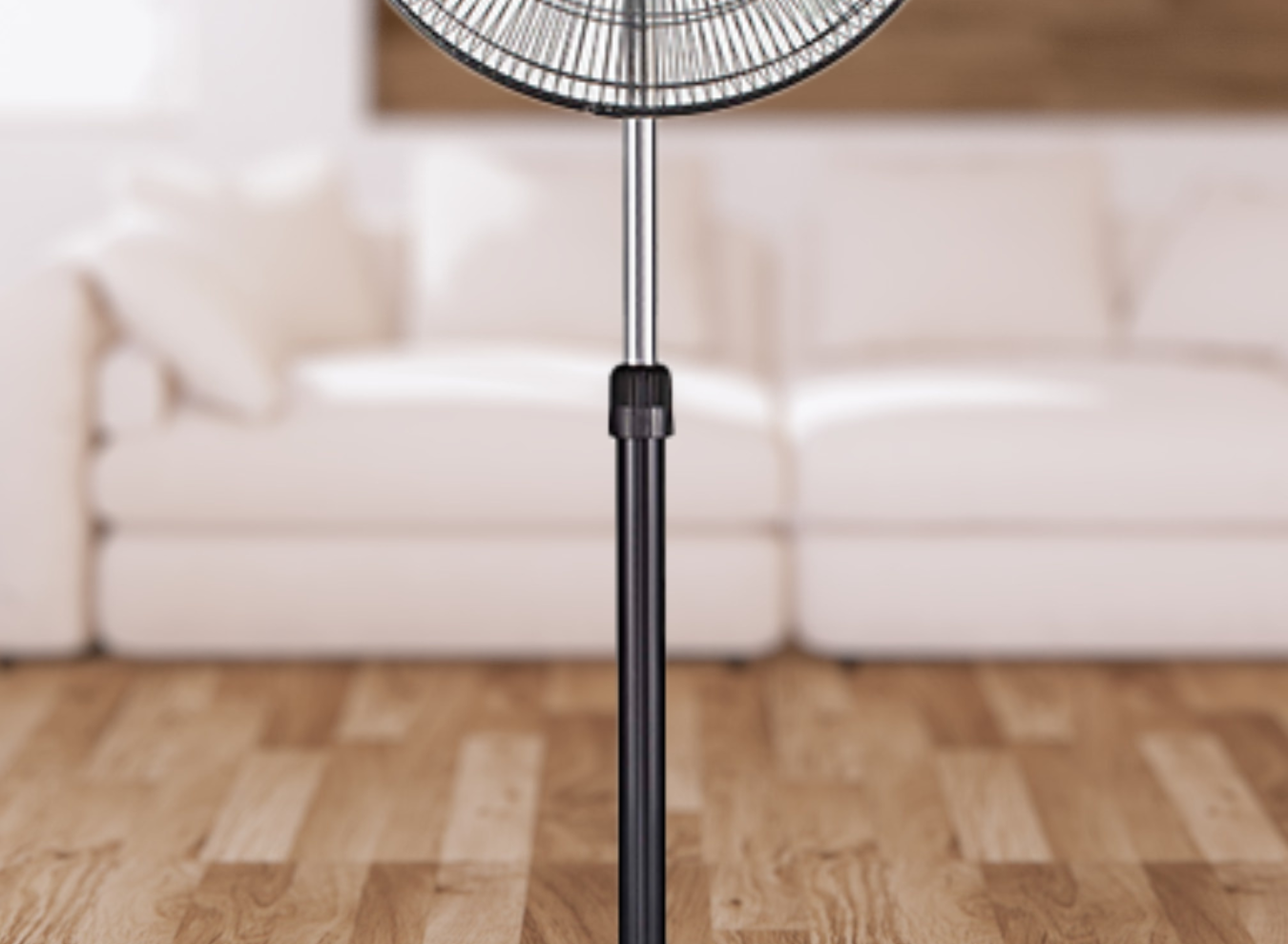 1_3397_1350 x 990_SITIO WEB_3