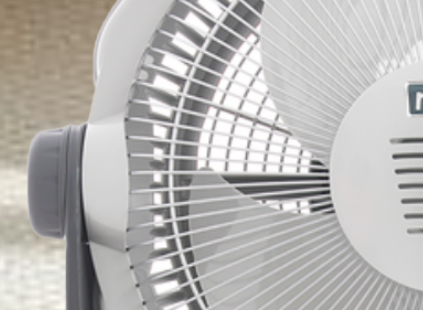 1_CF00013PGR154_1350 x 990_SITIO WEB_3