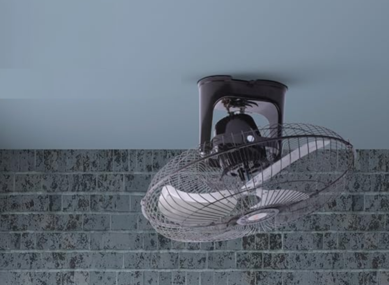 2_1350 x 990_SITIO WEB_3