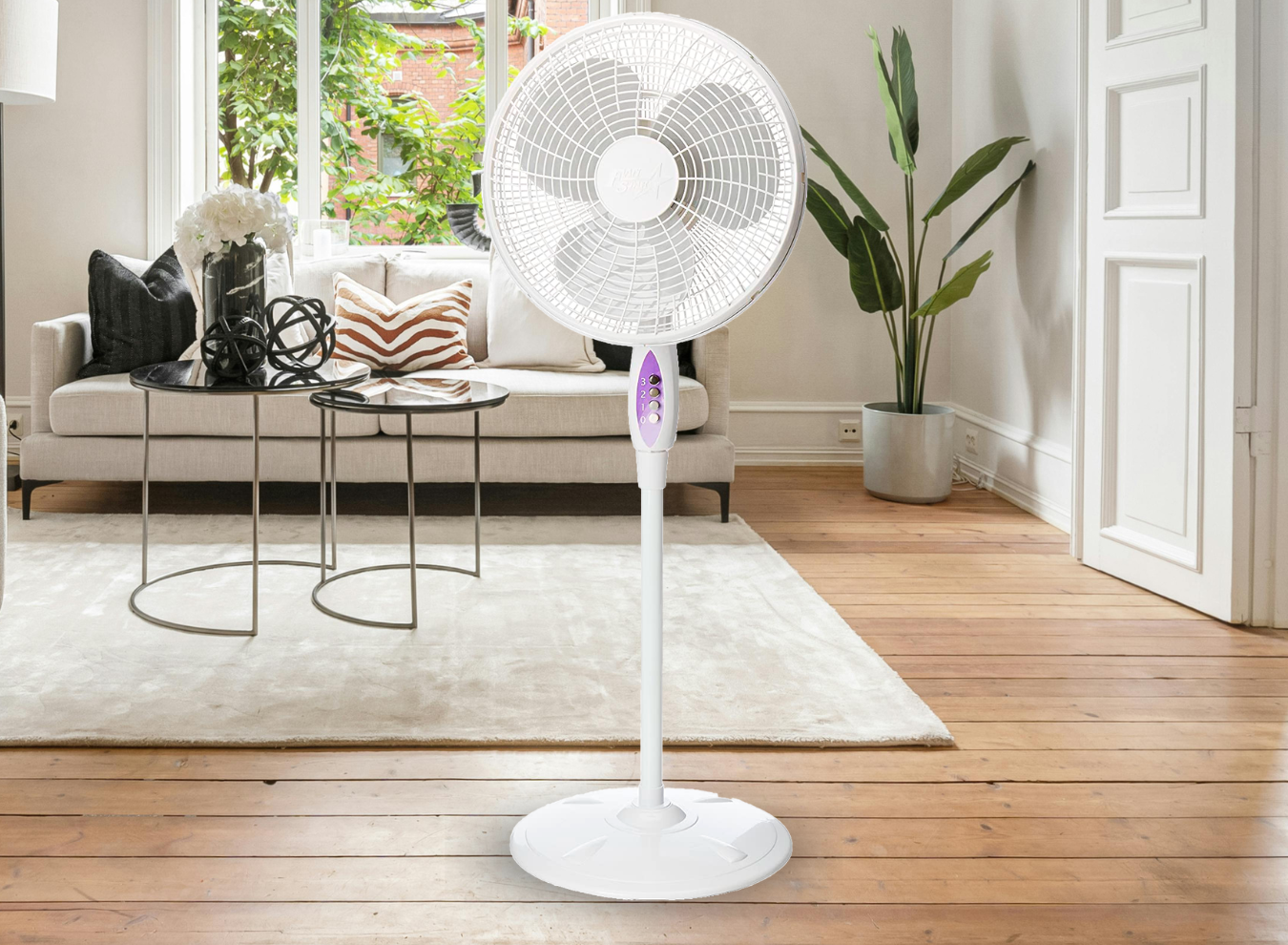 2_3123_1350 x 990_SITIO WEB_3