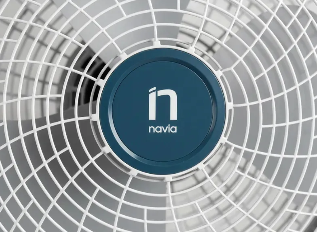 2_P16S2_1350 x 990_SITIO WEB_3