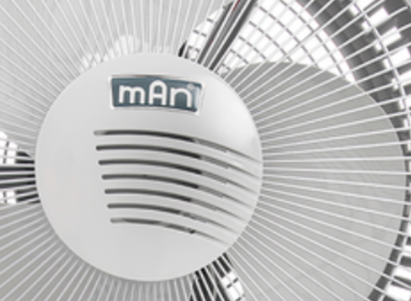 3_CF00013PGR154_1350 x 990_SITIO WEB_3